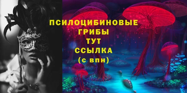 твердый Алексин