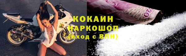 спайс Алзамай