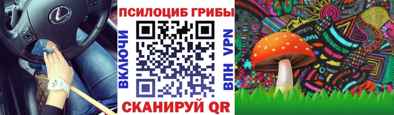 где купить наркоту  Удачный  Галлюциногенные грибы прущие грибы 
